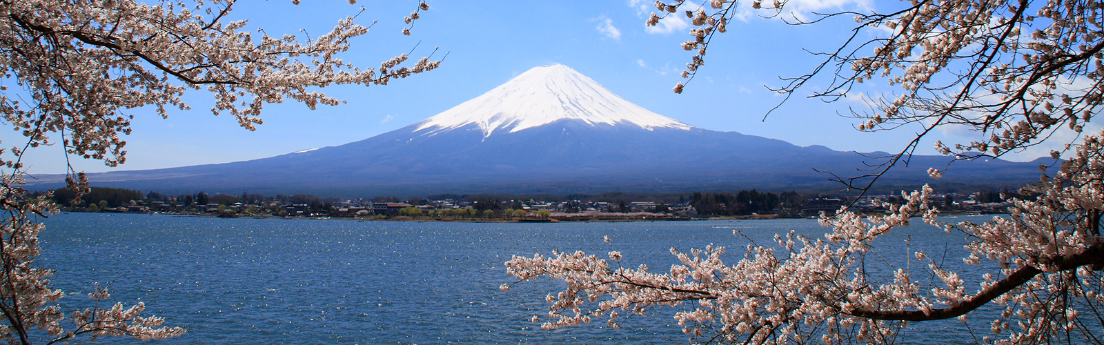Mt. Fuji